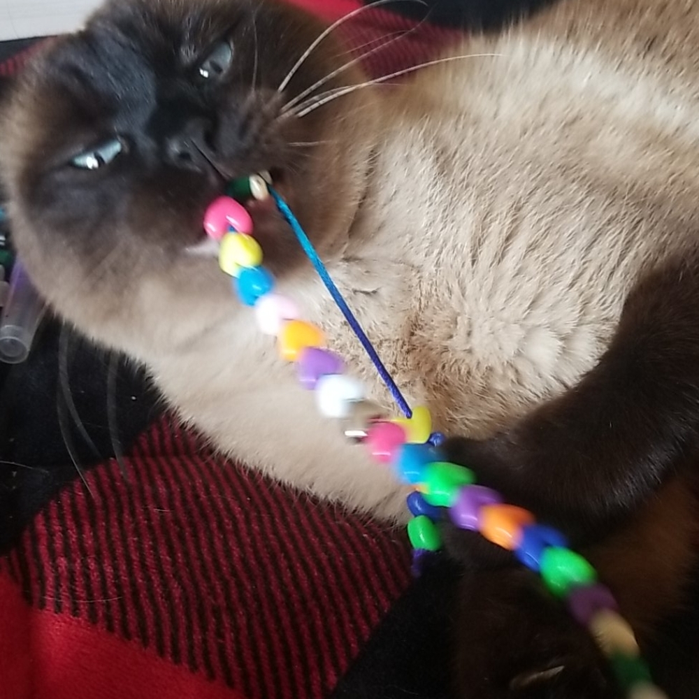 Handmade cat toy 😺